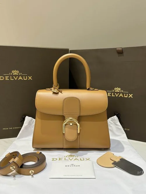Delvaux Brillant MM Original Medium Authentic Luxury Handbag