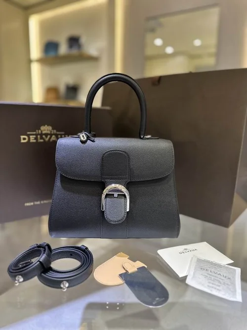 Delvaux Brillant MM Original Medium Authentic Luxury Handbag