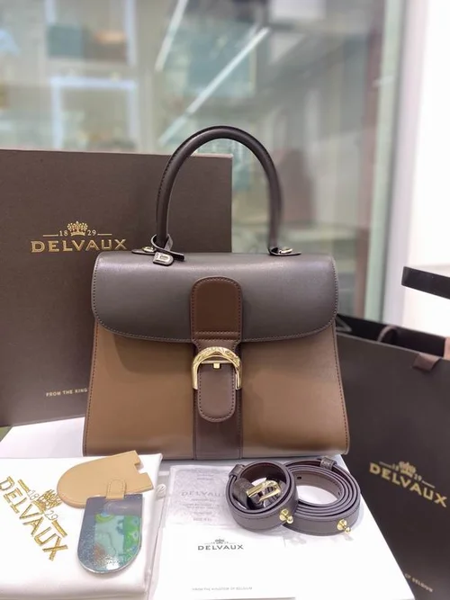 Delvaux Brillant MM Original Medium Authentic Luxury Handbag