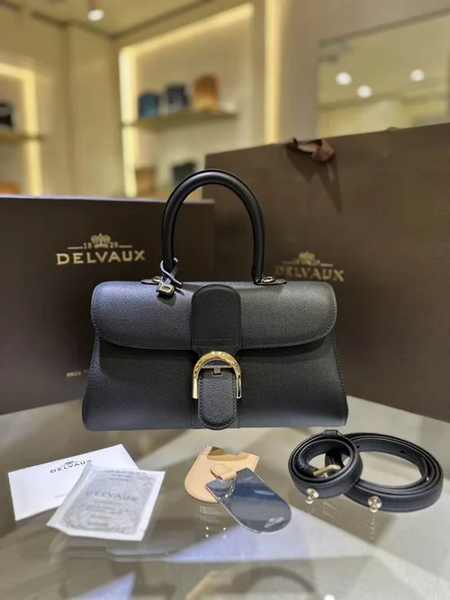 Delvaux Brillant MM Original Medium Authentic Luxury Handbag