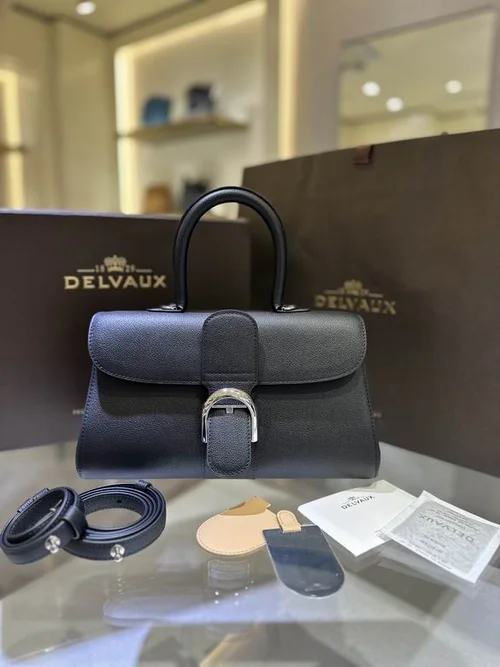Delvaux Brillant MM Original Medium Authentic Luxury Handbag