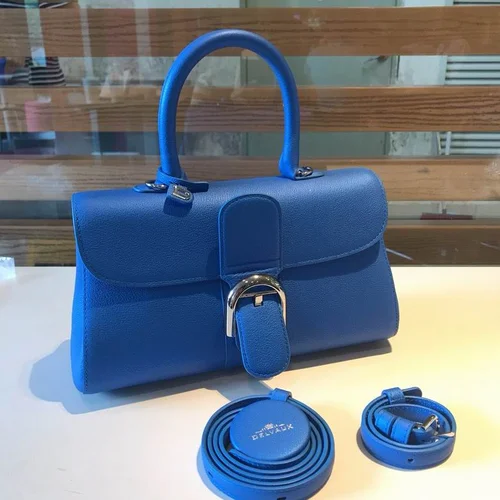 Delvaux Brillant MM Original Medium Authentic Luxury Handbag