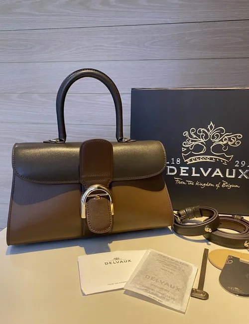 Delvaux Brillant MM Original Medium Authentic Luxury Handbag