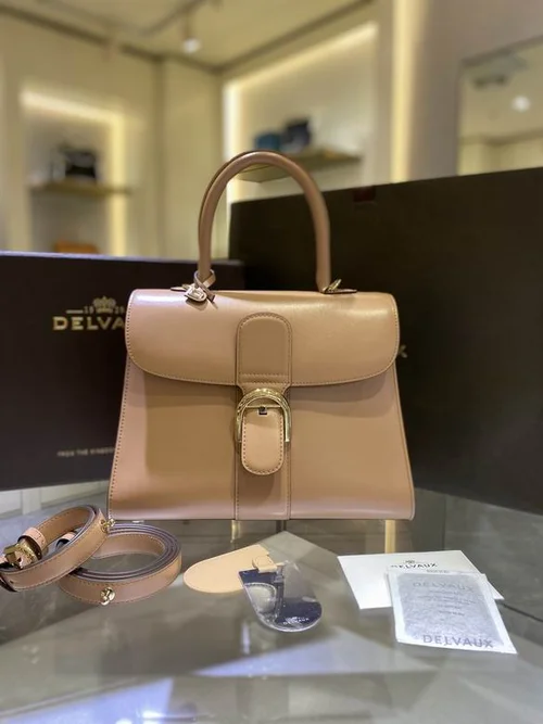 Delvaux Brillant MM Original Medium Authentic Luxury Handbag