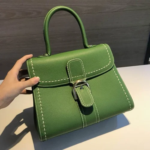 Delvaux Brillant MM Original Medium Authentic Luxury Handbag