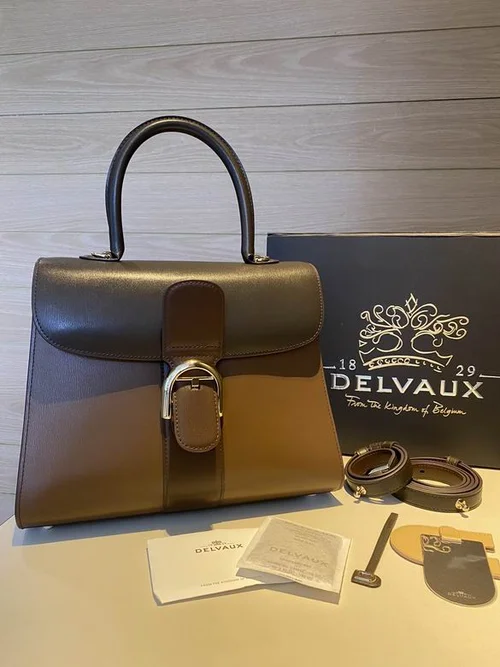 Delvaux Brillant MM Original Medium Authentic Luxury Handbag