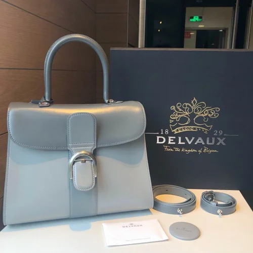Delvaux Brillant MM Original Medium Authentic Luxury Handbag