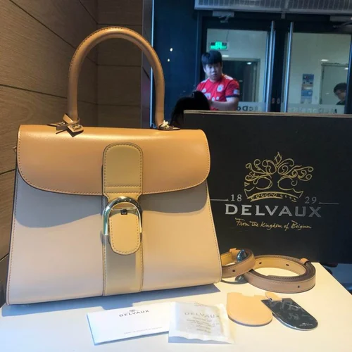 Delvaux Brillant MM Original Medium Authentic Luxury Handbag
