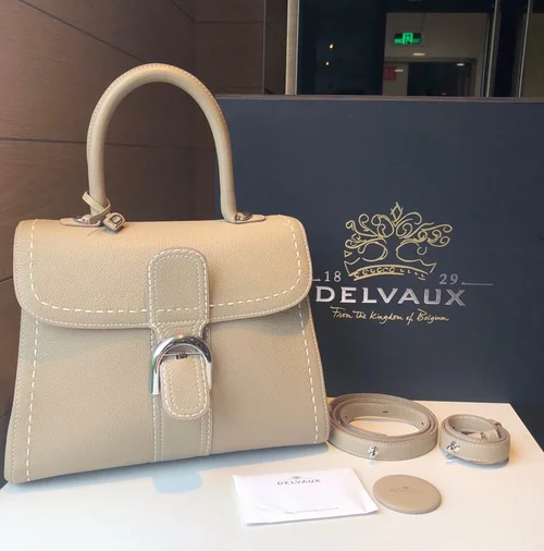 Delvaux Brillant MM Original Medium Authentic Luxury Handbag