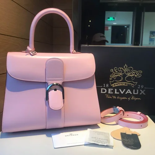 Delvaux Brillant MM Original Medium Authentic Luxury Handbag