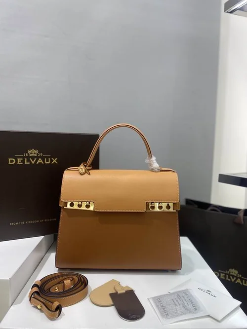 Delvaux TP Small Tote Bag Original Authentic Luxury Leather