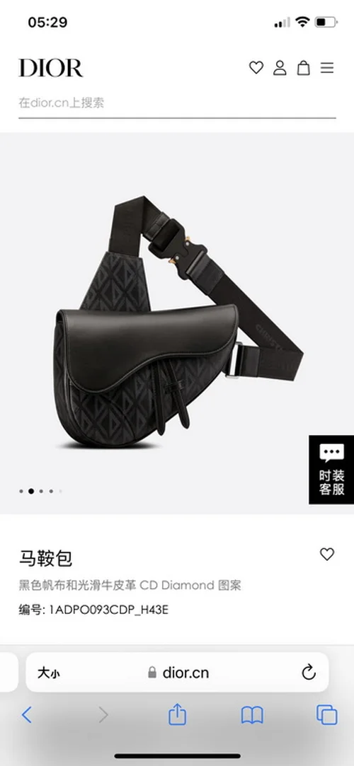 11 Dior Men's Designer Bag Luxury Oblique Canvas Briefcase