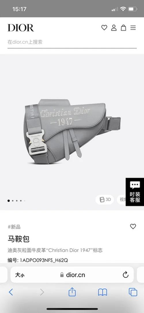 11 Dior Men's Designer Bag Luxury Oblique Canvas Briefcase