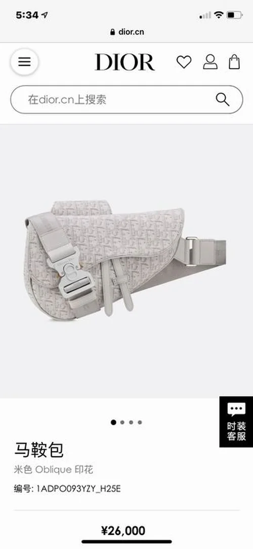 11 Dior Men's Designer Bag Luxury Oblique Canvas Briefcase