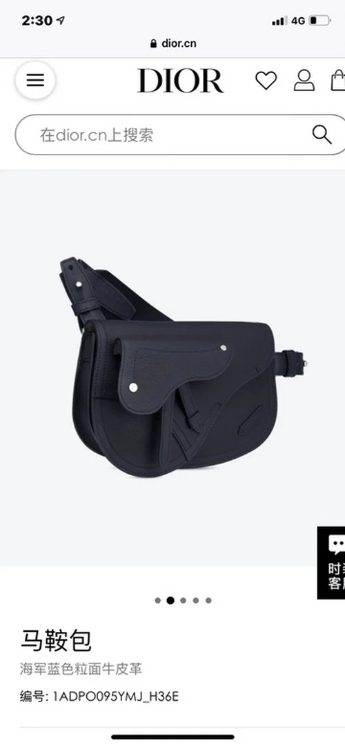 11 Dior Men's Designer Bag Luxury Oblique Canvas Briefcase