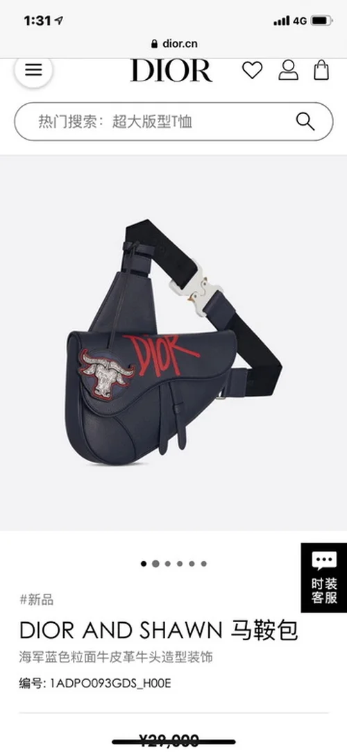 11 Dior Men's Designer Bag Luxury Oblique Canvas Briefcase