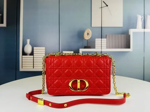 11 Dior Montaigne Large Tote Bag Women Luxury Canvas Designer