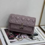 11 Dior Rama Chain Clutch Bag Women Luxury Evening Designer