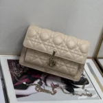 11 Dior Rama Chain Clutch Bag Women Luxury Evening Designer