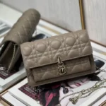 11 Dior Rama Chain Clutch Bag Women Luxury Evening Designer