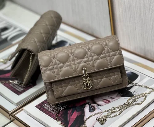 11 Dior Rama Chain Clutch Bag Women Luxury Evening Designer