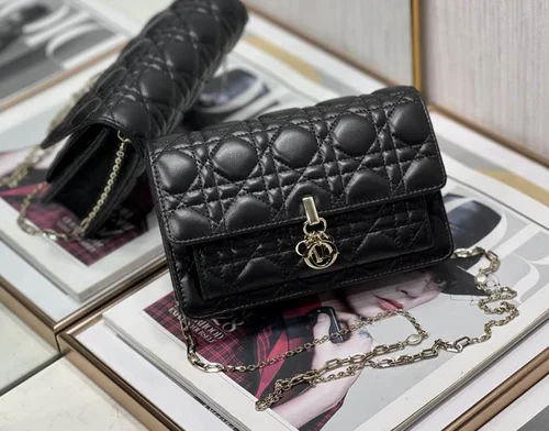 11 Dior Rama Chain Clutch Bag Women Luxury Evening Designer