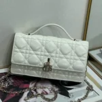 11 Dior Rama Chain Clutch Bag Women Luxury Evening Designer