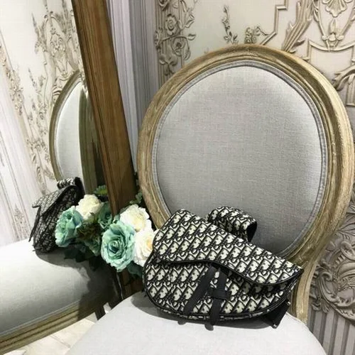 11 Dior Saddle Women Bag Medium Luxury Oblique Canvas