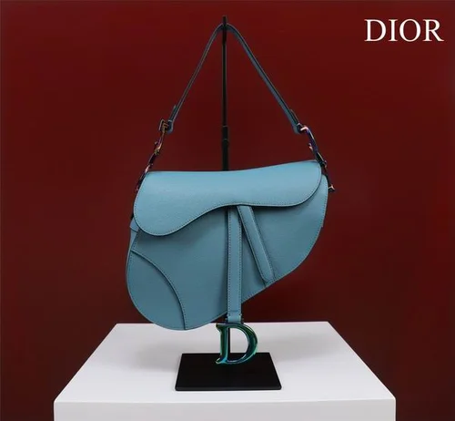 11 Dior Saddle Women Bag Medium Luxury Oblique Canvas