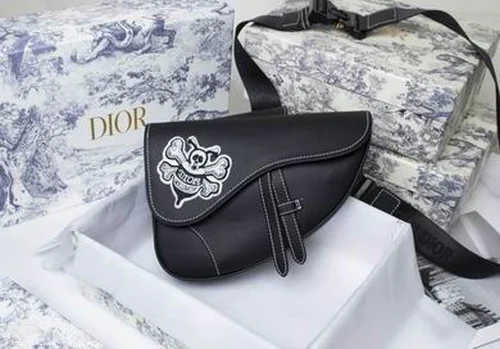 11 Dior Saddle Women Bag Medium Luxury Oblique Canvas