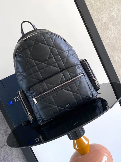 11 Dior Backpack Large Women Men Luxury Oblique Canvas