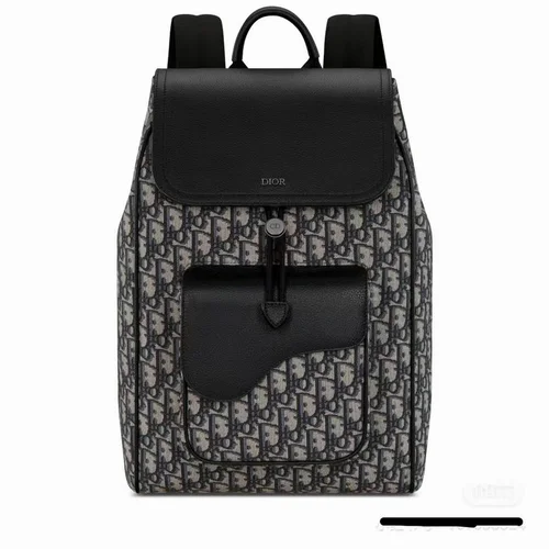 11 Dior Backpack Large Women Men Luxury Oblique Canvas