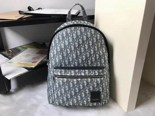11 Dior Backpack Large Women Men Luxury Oblique Canvas