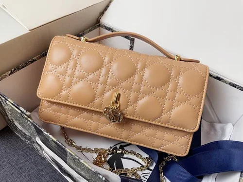 11 Dior Women's Handbag Large Luxury Leather Designer