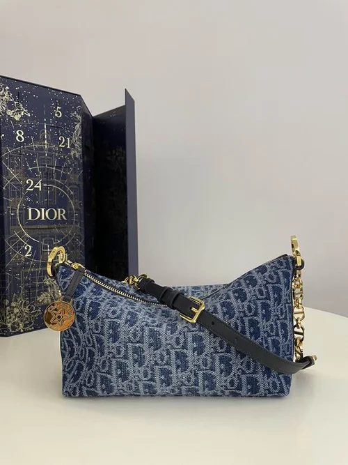 11 Dior Underarm Bag Small Women Luxury Oblique Canvas