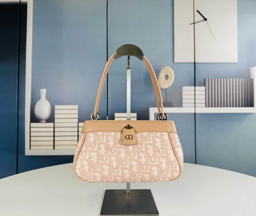 11 Dior Underarm Bag Small Women Luxury Oblique Canvas