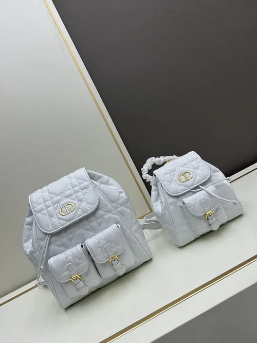 11 Dior Backpack Large Women Men Luxury Oblique Canvas