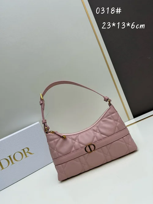 11 Dior Underarm Bag Small Women Luxury Oblique Canvas