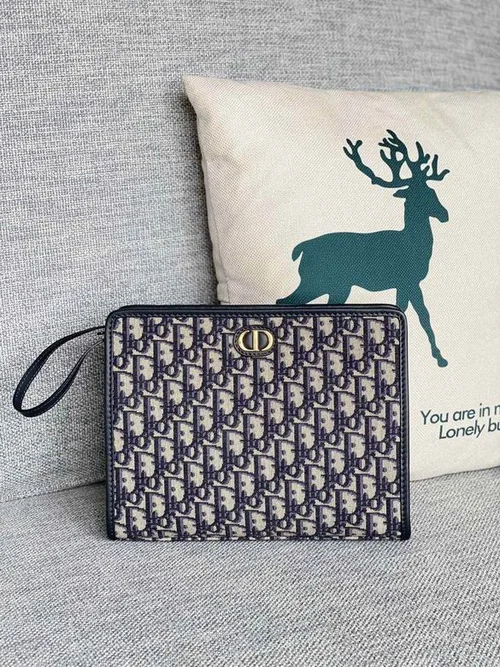 Dior Original Women's Handbag Authentic Quilted Luxury