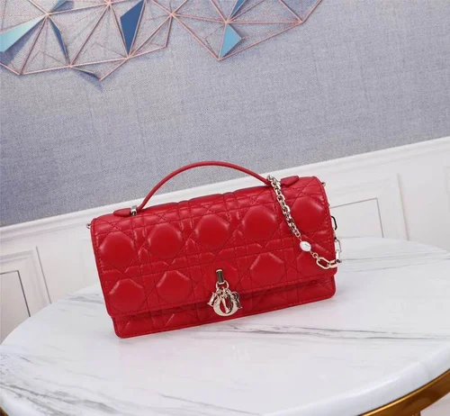 Dior Original Other Women's Bags Authentic Luxury Collection