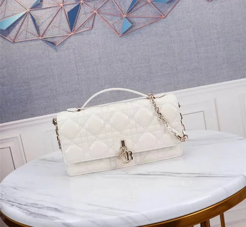 Dior Original Other Women's Bags Authentic Luxury Collection