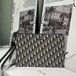 Dior Original Women's Handbag Authentic Quilted Luxury