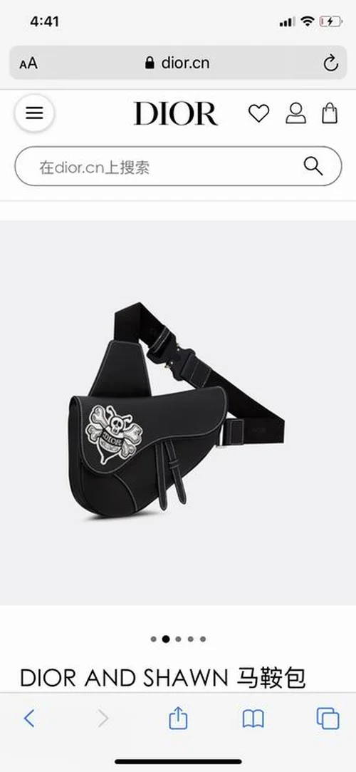 Dior Original Saddle Women Bag Authentic Oblique Luxury