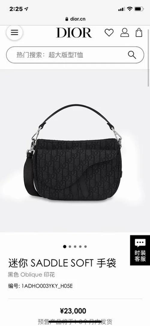 Dior Original Saddle Women Bag Authentic Oblique Luxury