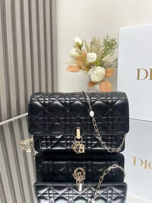 Dior Original Women's Handbag Authentic Quilted Luxury