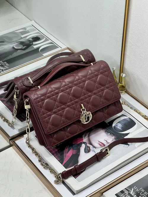 Dior Original Other Women's Bags Authentic Luxury Collection