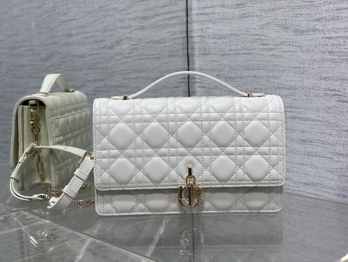 Dior Original Other Women's Bags Authentic Luxury Collection