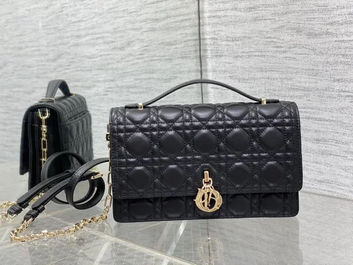 Dior Original Other Women's Bags Authentic Luxury Collection