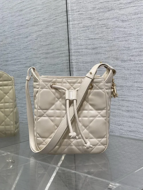 Dior Original Other Women's Bags Authentic Luxury Collection