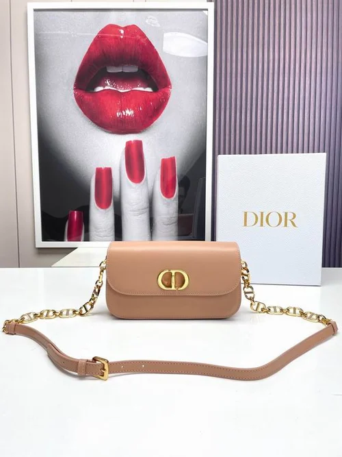 Dior Original Caro Small Chain Bag Authentic Quilted Luxury